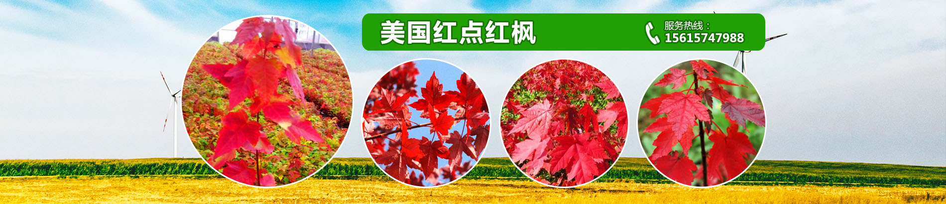 泰安韻可園林綠化有限公司