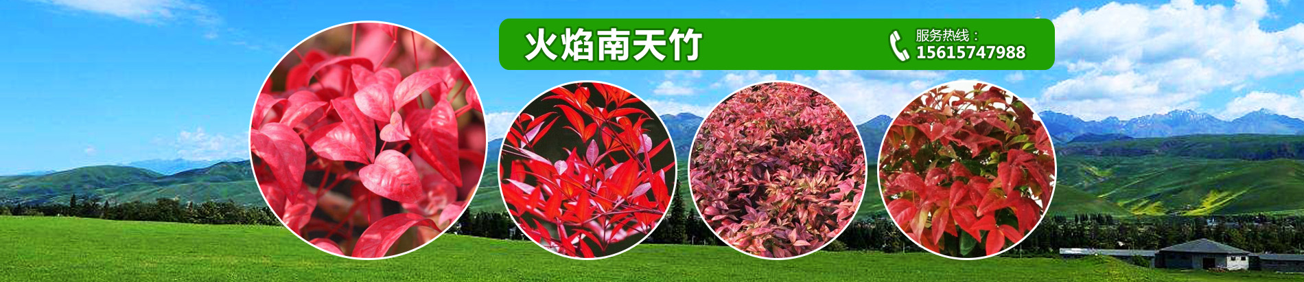 泰安韻可園林綠化有限公司